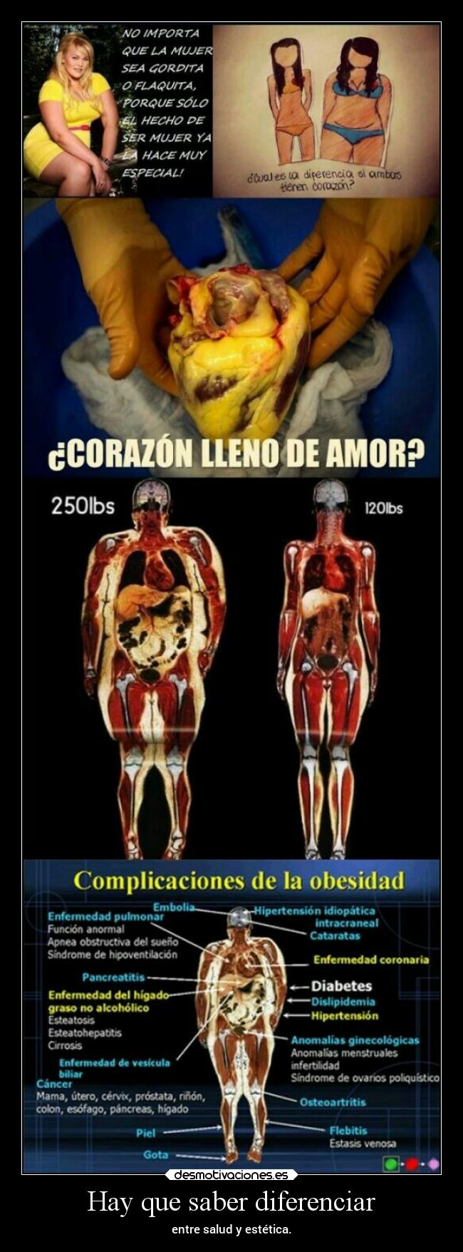 carteles sociedad elchicodeayer desmotivaciones