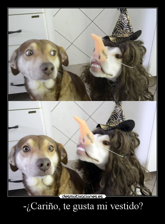 -¿Cariño, te gusta mi vestido? -