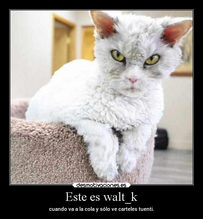 Este es walt_k -