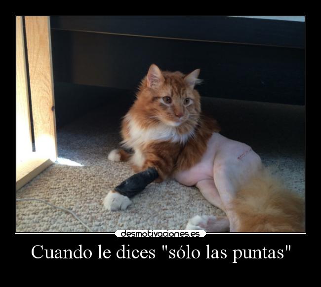 Cuando le dices sólo las puntas -