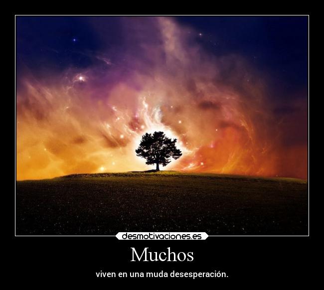 Muchos -