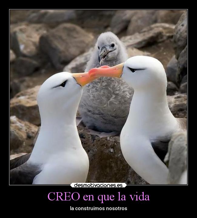 CREO en que la vida -