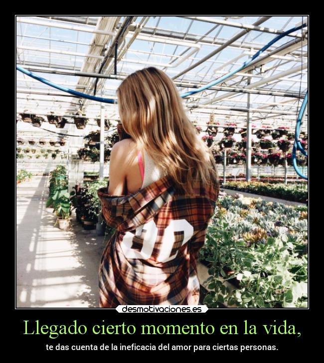 carteles vida amor desamor desmotivaciones sentimientos pensamientos desmotivaciones