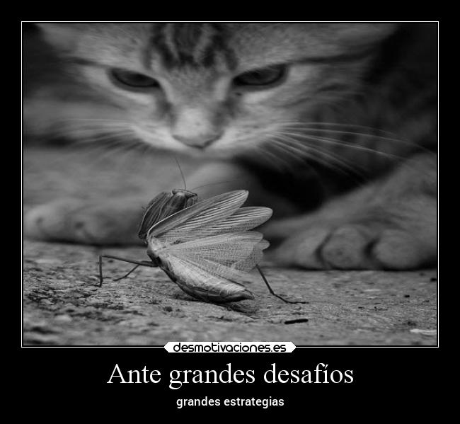 Ante grandes desafíos - grandes estrategias