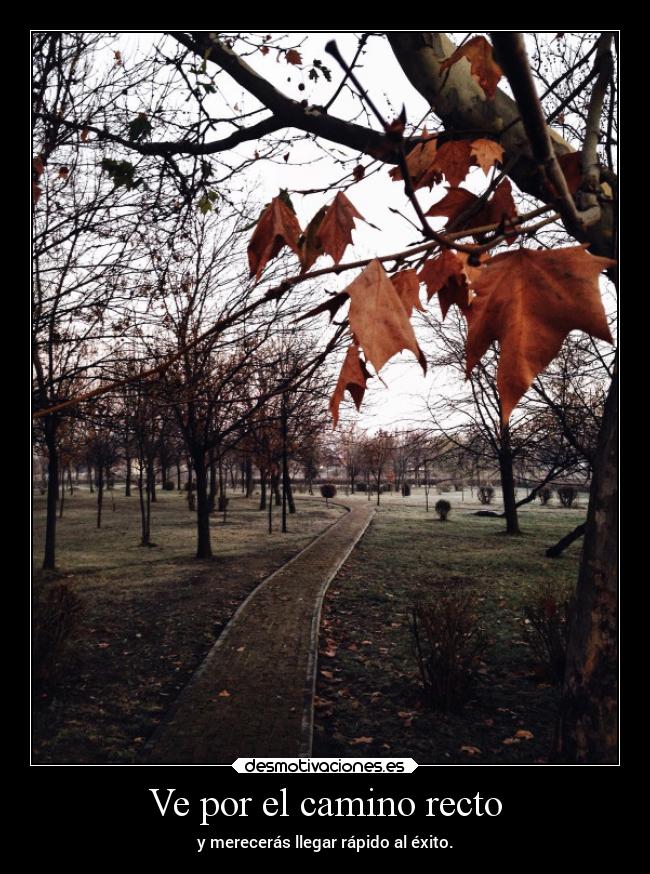 Ve por el camino recto -