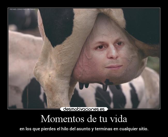 carteles vida humor elchicodeayer desmotivaciones