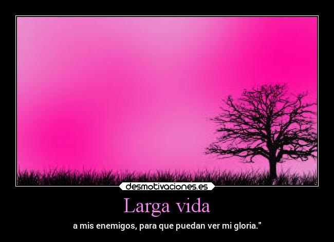 carteles vida ignorancia desmotivaciones