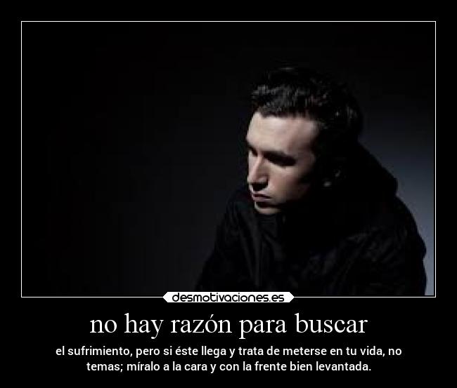 no hay razón para buscar - 