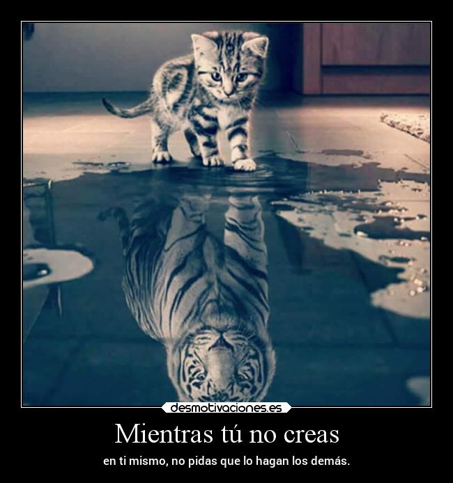 Mientras tú no creas - 