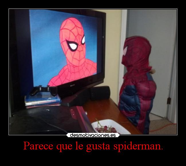Parece que le gusta spiderman. -