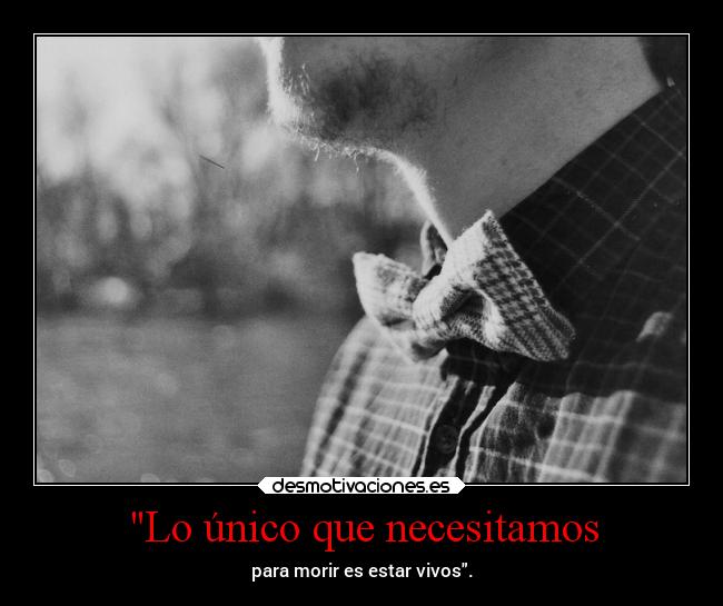 Lo único que necesitamos -