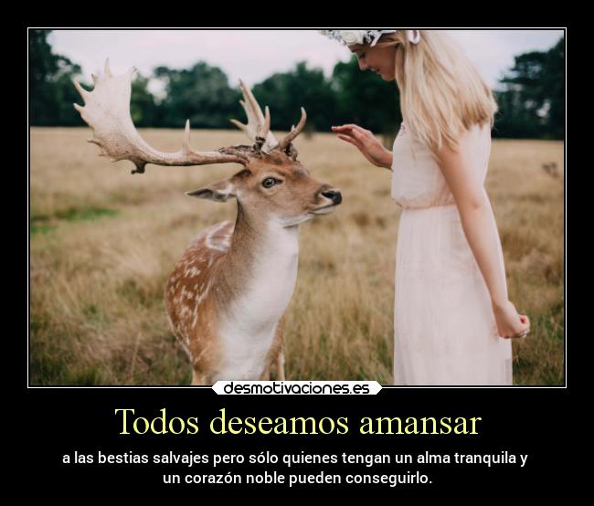 carteles vida motivaciones pensamientos desmotivaciones