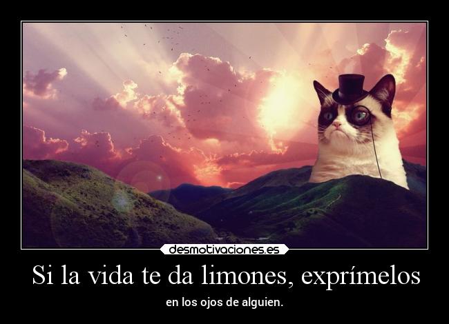 Si la vida te da limones, exprímelos - 