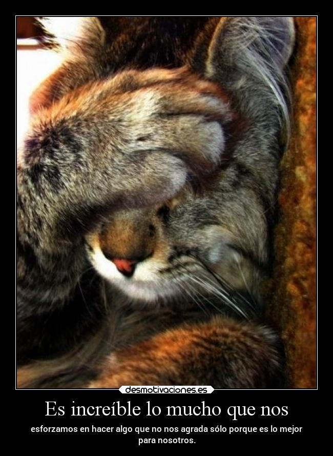 Es increíble lo mucho que nos -