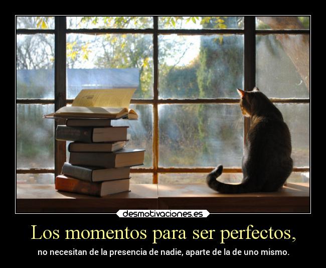 Los momentos para ser perfectos, - 