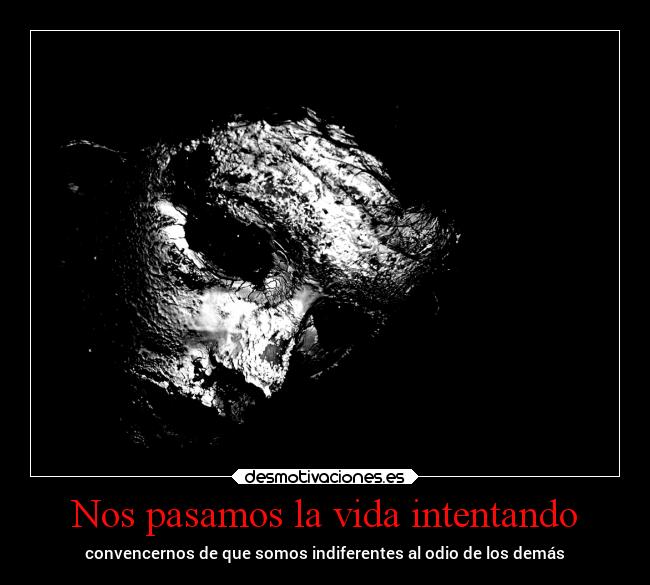 Nos pasamos la vida intentando - convencernos de que somos indiferentes al odio de los demás