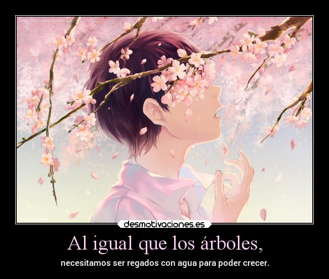 carteles vida tristeza alma naturaleza erosekai elbuskador1 lagrima humanos desmotivaciones