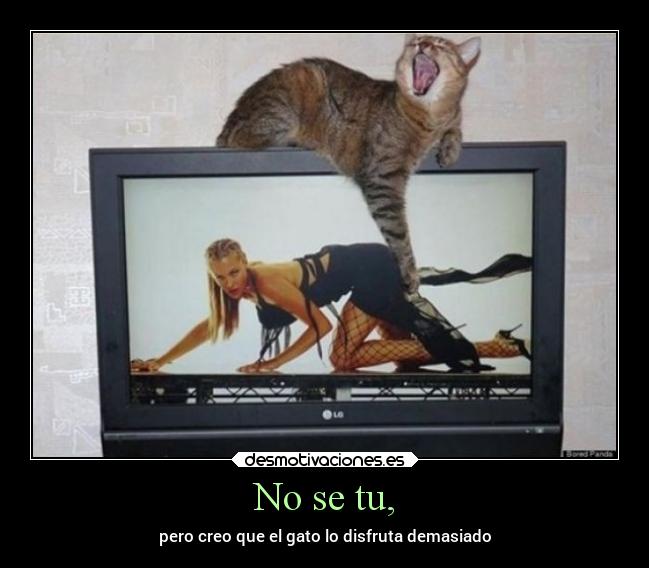 No se tu, - pero creo que el gato lo disfruta demasiado