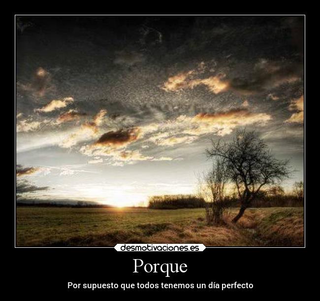 Porque - Por supuesto que todos tenemos un día perfecto