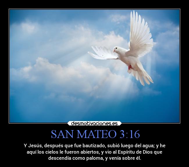 SAN MATEO 3:16 - 
