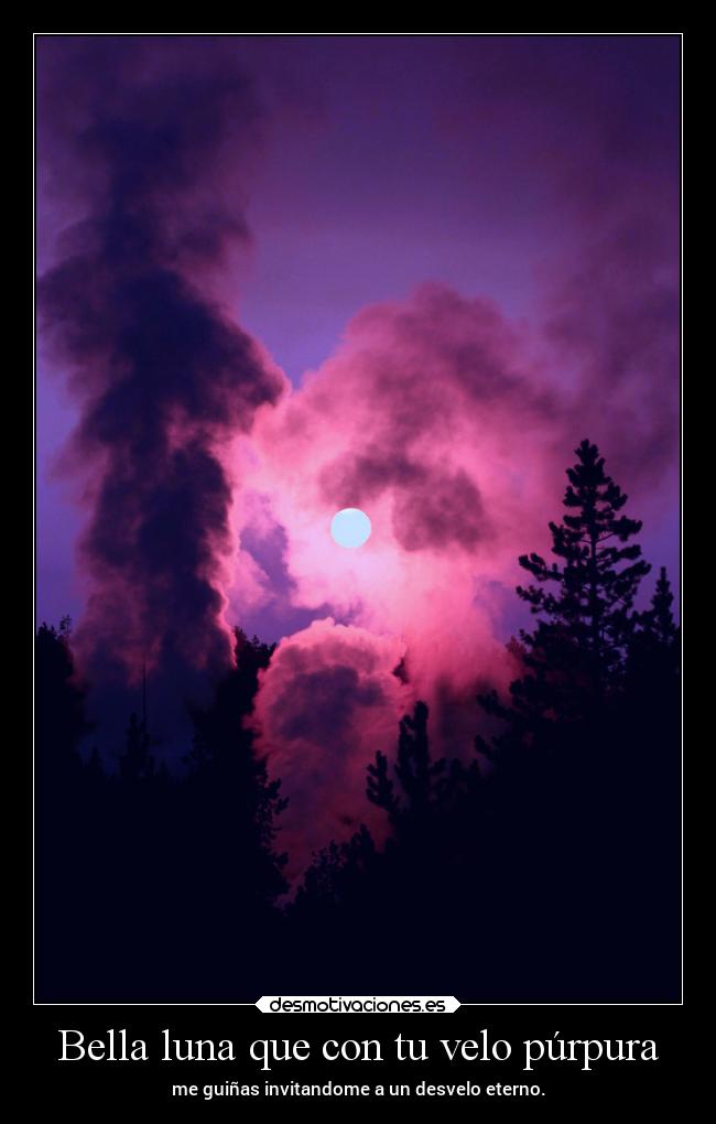 Bella luna que con tu velo púrpura - me guiñas invitandome a un desvelo eterno.