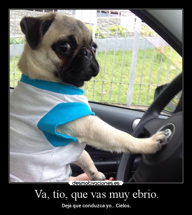 Va, tío, que vas muy ebrio. - 