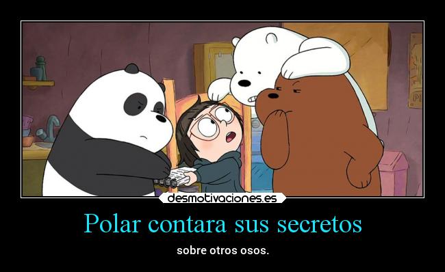 Polar contara sus secretos - sobre otros osos.