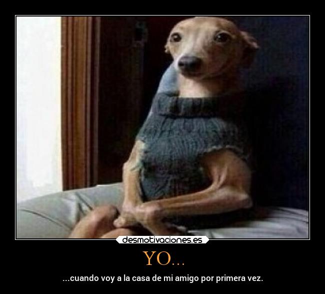 YO... - ...cuando voy a la casa de mi amigo por primera vez.
