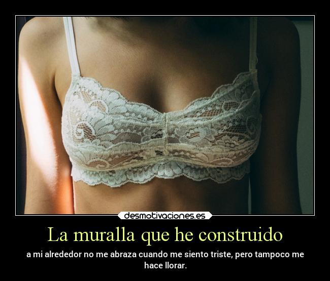 La muralla que he construido - a mi alrededor no me abraza cuando me siento triste, pero tampoco me
hace llorar.