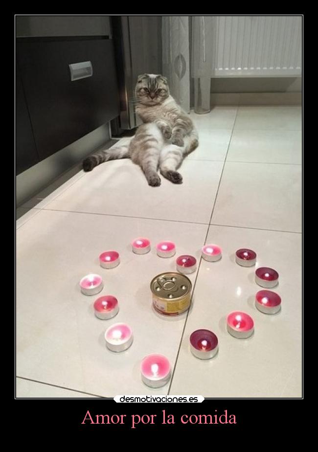 Amor por la comida - 