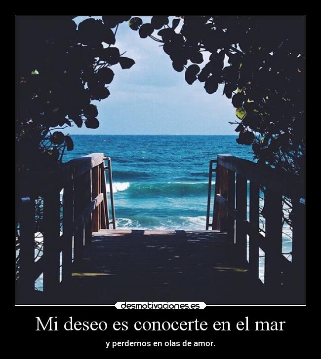 carteles amor dalyami desmotivaciones