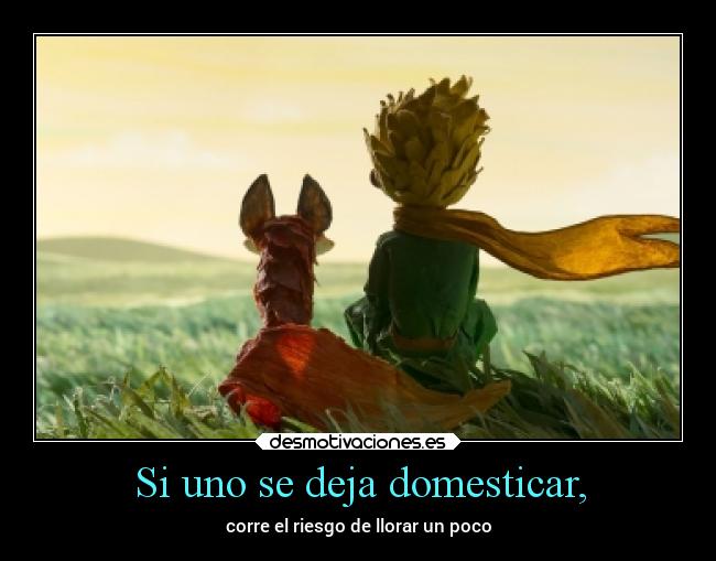 Si uno se deja domesticar, - corre el riesgo de llorar un poco