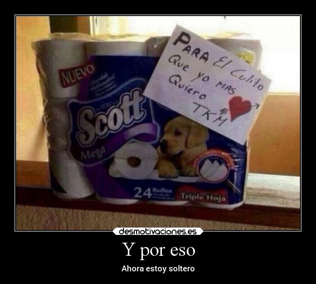 carteles amor san valentin desmotivaciones