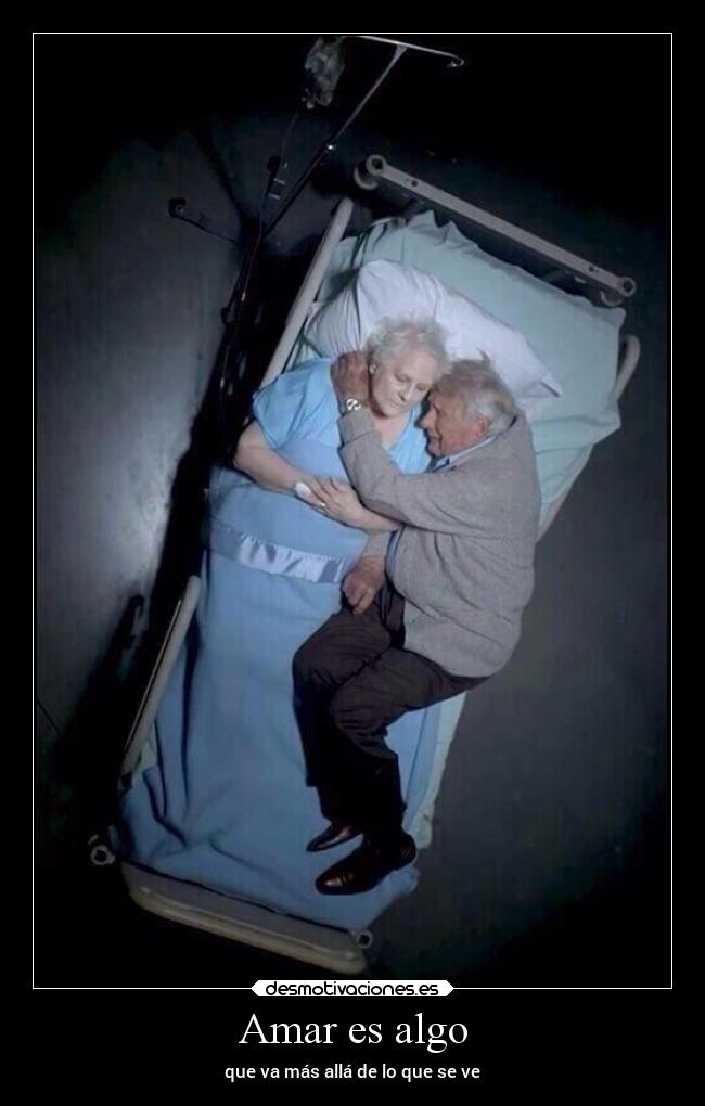 carteles amor vida desmotivaciones