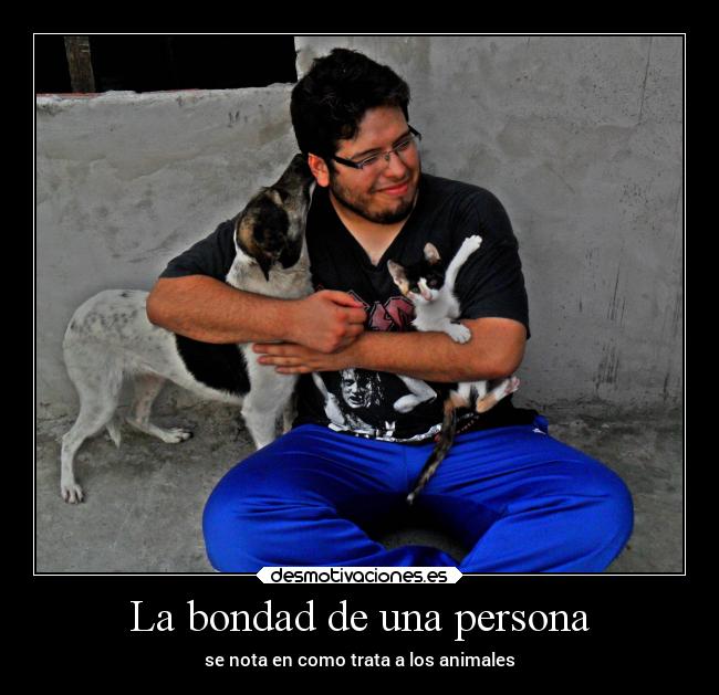 La bondad de una persona -