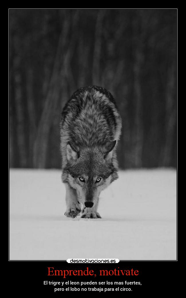 Emprende, motivate -