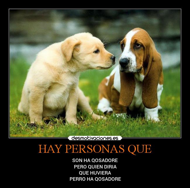 carteles animales desmotivaciones