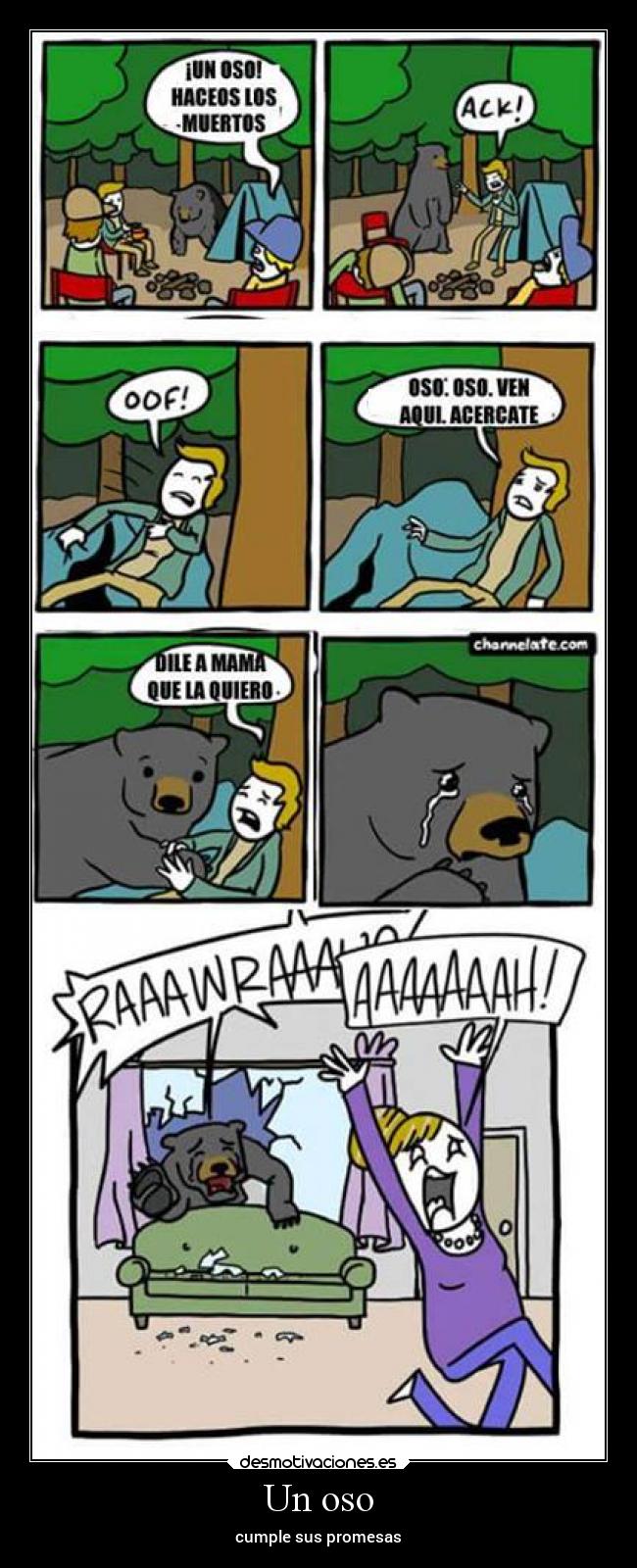 Un oso -