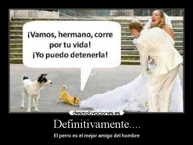 Definitivamente.... - El perro es el mejor amigo del hombre