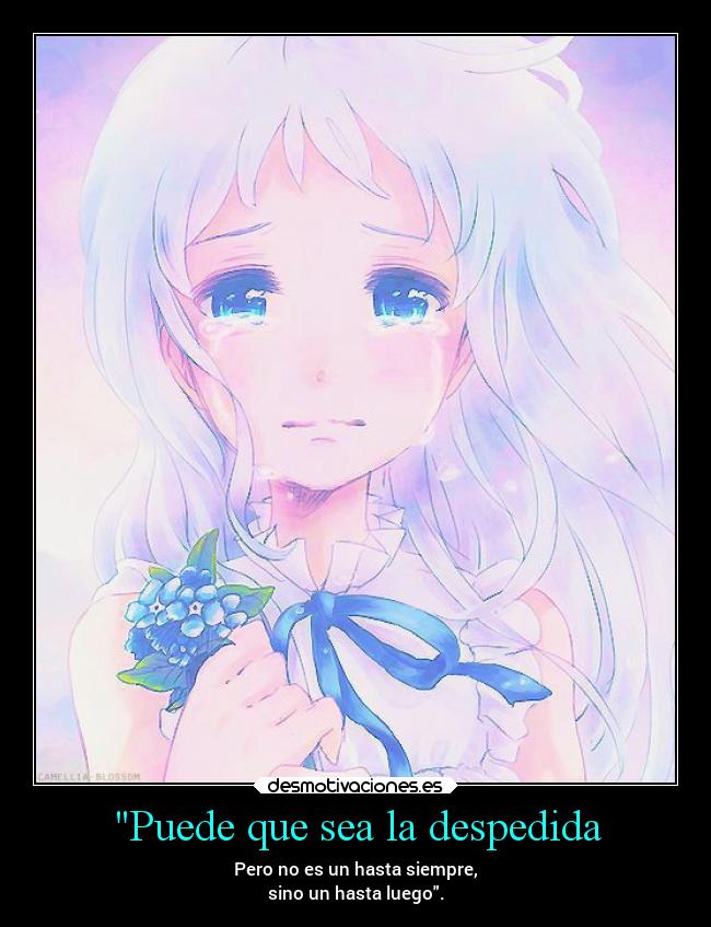 Puede que sea la despedida - 