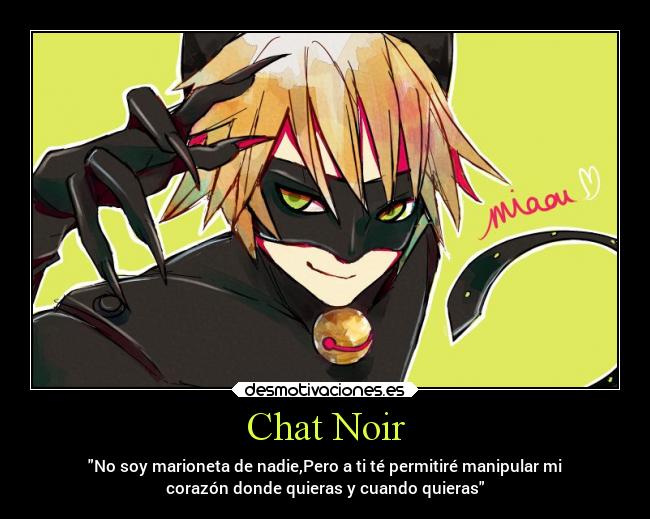 Chat Noir -