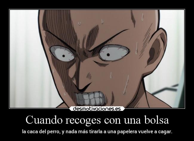Cuando recoges con una bolsa - 