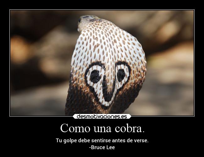 carteles arte caracter deportes dolor enemigo motivaciones desmotivaciones