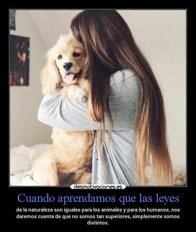 Cuando aprendamos que las leyes -