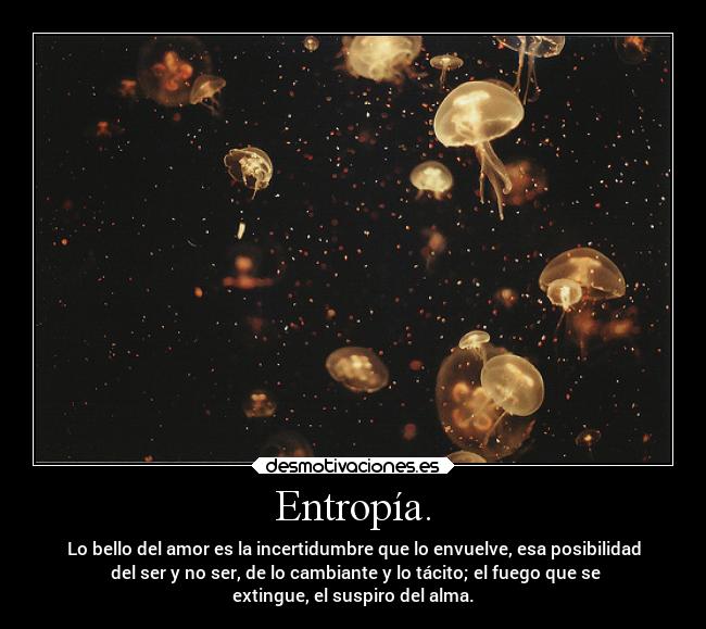 carteles bogota destino incertidumbre azar todoaquelloseveensusojoshablodelinfinito desmotivaciones