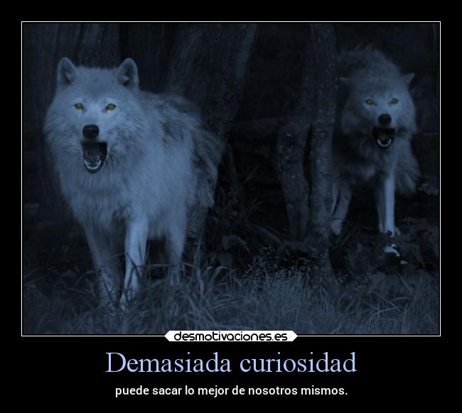 Demasiada curiosidad -