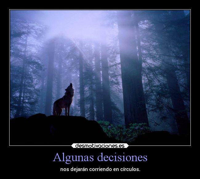 Algunas decisiones -