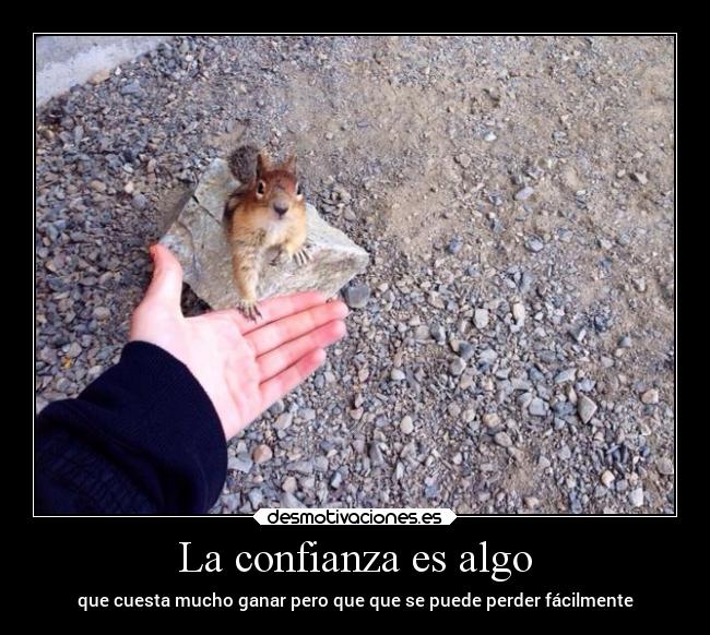 carteles confianza confianza animales pensamientos vida desmotivaciones