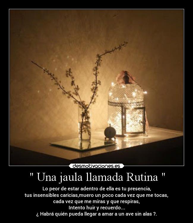 Una jaula llamada Rutina - Lo peor de estar adentro de ella es tu presencia,
tus insensibles caricias,muero un poco cada vez que me tocas,
cada vez que me miras y que respiras,
Intento huir y recuerdo...
¿ Habrá quién pueda llegar a amar a un ave sin alas ?.