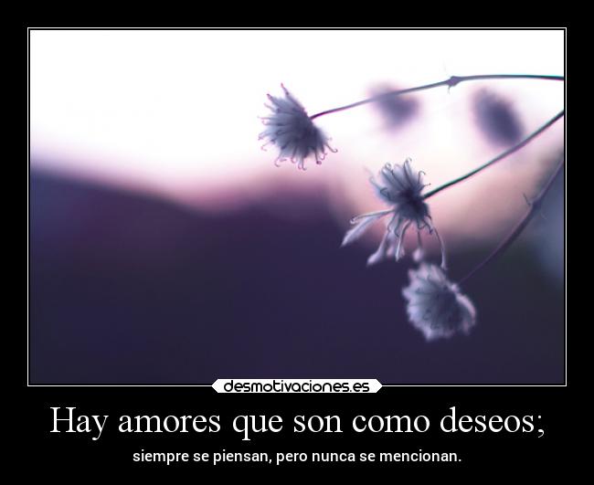 Hay amores que son como deseos; - siempre se piensan, pero nunca se mencionan.